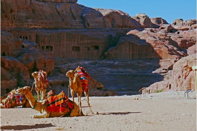 טיול לירדן – מה בין נבטים לחנוכה