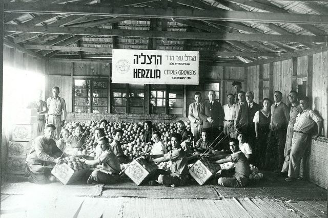העלייה החמישית לישראל, חלק ב’